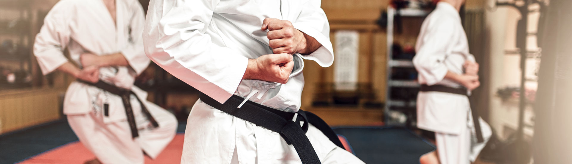 Family Martial Arts at True Force Martial Arts in Charleston