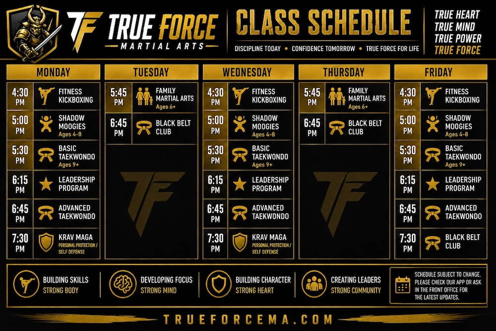 True Force Martial Arts Class Schedule